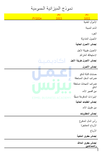 نموذج الميزانية العمومية